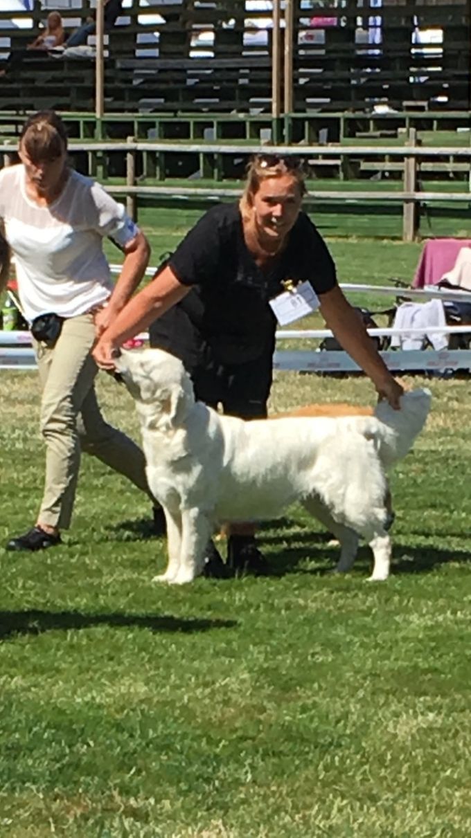 Saga BIR FALSTERBO 2018